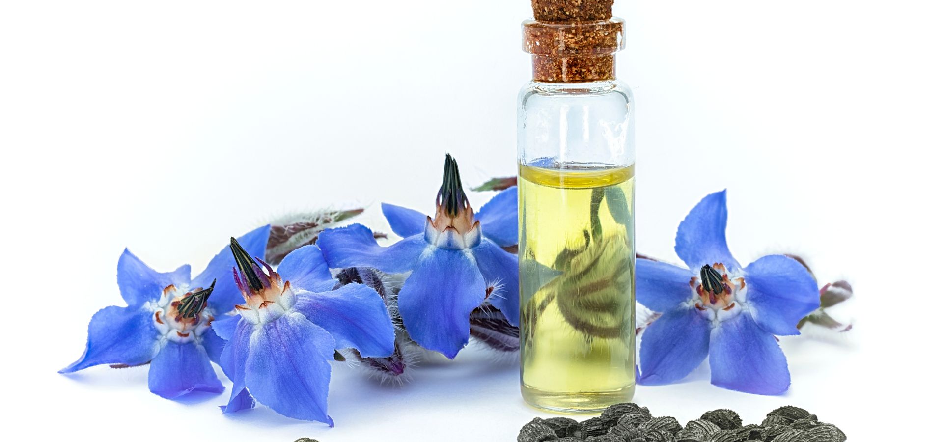 borage oil 